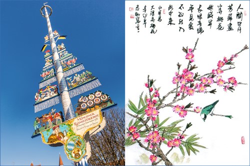 Chinese Peach Blossoms and a German Maibaum