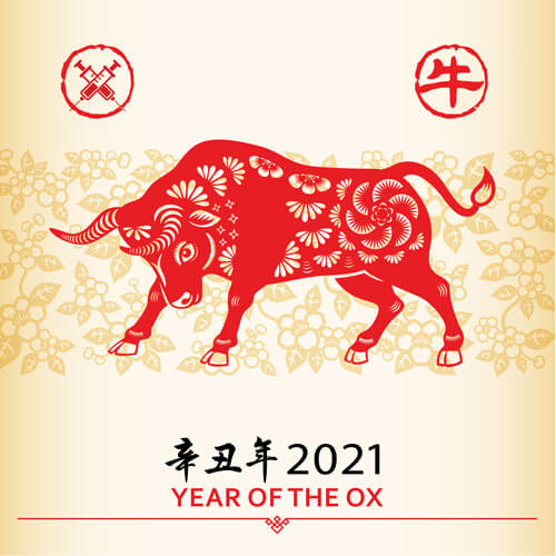 Image of a bull for Chinese New Year