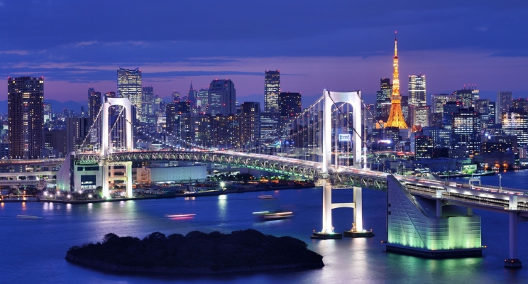 Illuminated bridge against the backdrop of the city